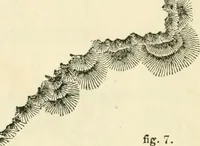 An illustration from The illustrated architectural, engineering, & mechanical drawing-book : for the use of schools, students, and artisans ; upwards of 300 illustrations (1856)
