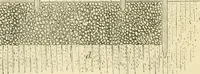 An illustration from The illustrated architectural, engineering, & mechanical drawing-book : for the use of schools, students, and artisans ; upwards of 300 illustrations (1856)