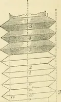 An illustration from The illustrated architectural, engineering, & mechanical drawing-book : for the use of schools, students, and artisans ; upwards of 300 illustrations (1856)