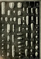 An illustration from Illustrated catalogue of period ornaments cast in composition and wood fibre for woodwork-furniture (1900)