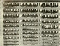 An illustration from Illustrated catalogue of period ornaments cast in composition and wood fibre for woodwork-furniture (1900)