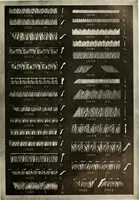 An illustration from Illustrated catalogue of period ornaments cast in composition and wood fibre for woodwork-furniture (1900)
