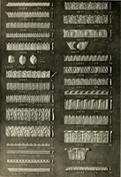 An illustration from Illustrated catalogue of period ornaments cast in composition and wood fibre for woodwork-furniture (1900)