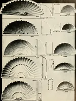 An illustration from Illustrated catalogue of period ornaments cast in composition and wood fibre for woodwork-furniture (1900)