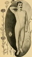 An illustration from Illustrated catalogue and price list. (1897)