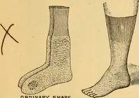 An illustration from Illustrated catalogue and price list. (1897)