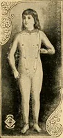An illustration from Illustrated catalogue and price list. (1897)