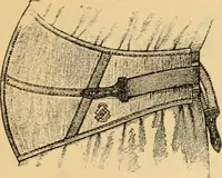 An illustration from Illustrated catalogue and price list. (1897)