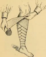 An illustration from Illustrated catalogue and price list. (1897)