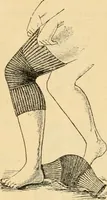 An illustration from Illustrated catalogue and price list. (1897)