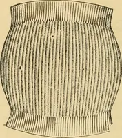An illustration from Illustrated catalogue and price list. (1897)