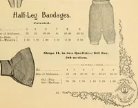 An illustration from Illustrated catalogue and price list. (1897)