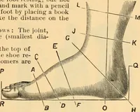 An illustration from Illustrated catalogue and price list. (1897)