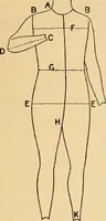 An illustration from Illustrated catalogue and price list. (1897)