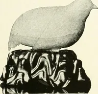 An illustration from Illustrated catalogue of a remarkable collection of ancient oriental imperial treasures of rare artistic distinction, recently procured in China and Japan, to be sold at unrestricted public sale by direction of the well-known firm of Messrs. Yamanaka & Co. .. (1916)