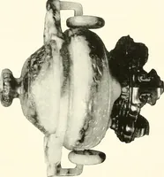 An illustration from Illustrated catalogue of a remarkable collection of ancient oriental imperial treasures of rare artistic distinction, recently procured in China and Japan, to be sold at unrestricted public sale by direction of the well-known firm of Messrs. Yamanaka & Co. .. (1916)