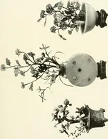 An illustration from Illustrated catalogue of a remarkable collection of ancient oriental imperial treasures of rare artistic distinction, recently procured in China and Japan, to be sold at unrestricted public sale by direction of the well-known firm of Messrs. Yamanaka & Co. .. (1916)