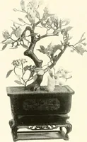 An illustration from Illustrated catalogue of a remarkable collection of ancient oriental imperial treasures of rare artistic distinction, recently procured in China and Japan, to be sold at unrestricted public sale by direction of the well-known firm of Messrs. Yamanaka & Co. .. (1916)