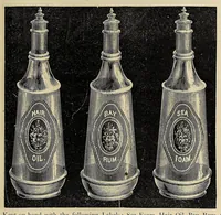 An illustration from Illustrated catalogue and price list (1880)