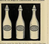 An illustration from Illustrated catalogue and price list (1880)