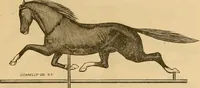 Picture 12 of 141 from Illustrated catalogue and price list of copper weather vanes, bannerets and finials / manufactured by A.B. & W.T. Westervelt. (1883), leaf 16