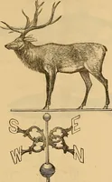 Picture 40 of 141 from Illustrated catalogue and price list of copper weather vanes, bannerets and finials / manufactured by A.B. & W.T. Westervelt. (1883), leaf 30