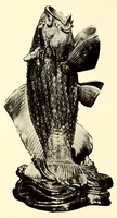 An illustration from Illustrated Catalogue of a Very Important Collection of Antique Chinese Porcelains including Fine Specimens of Sang-De-Bceuf and Peachbloom Tang and Ming Pottery, Carved Jade and Other Hard Stones, Cloisonne Enamels, a Number of Ming Large Plant Jars and Antique Chinese Rugs : collected by Messrs. Voron & Chiat of New York (1918)