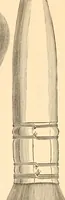 An illustration from Illustrated catalogue and price list of artists' materials, gold points, bronze powders, metallics, metal leaf, (1897)