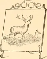 An illustration from Illustrated catalogue and price list of artists' materials, gold points, bronze powders, metallics, metal leaf, (1897)