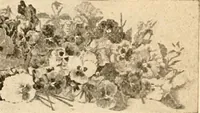 An illustration from Illustrated catalogue and price list of artists' materials, gold points, bronze powders, metallics, metal leaf, (1897)