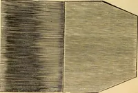 An illustration from Illustrated catalogue. (1884)