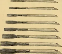 An illustration from Illustrated catalogue. (1884)