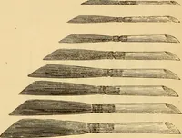 An illustration from Illustrated catalogue. (1884)