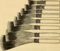 An illustration from Illustrated catalogue. (1884)