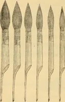 An illustration from Illustrated catalogue. (1884)