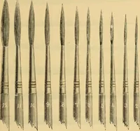 Picture 36 of 50 from Illustrated catalogue. (1884), leaf 32