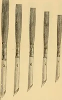 An illustration from Illustrated catalogue. (1884)