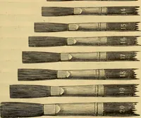 An illustration from Illustrated catalogue. (1884)