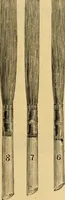 Picture 50 of 50 from Illustrated catalogue. (1884), leaf 48