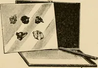An illustration from Illustrated catalogue and price list of colors and materials for decorating china, earthenware, glass, enamelled iron, etc. : oxides and chemicals / imported and manufactured by B. F. Drakenfeld & Co. (1914)
