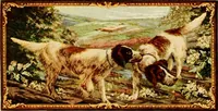 An illustration from Illustrated catalogue for 1909. (1909)