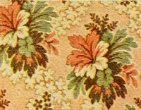An illustration from Illustrated catalogue for 1909. (1909)