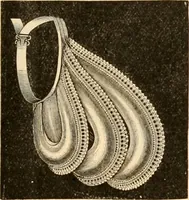 An illustration from Illustrated catalogue and shopping guide. (1886)