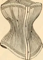 An illustration from Illustrated catalogue and shopping guide. (1886)