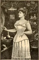 An illustration from Illustrated catalogue and shopping guide. (1886)