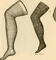An illustration from Illustrated catalogue and shopping guide. (1886)