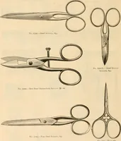 An illustration from Illustrated catalogue and shopping guide. (1886)