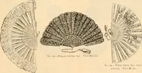 An illustration from Illustrated catalogue and shopping guide. (1886)