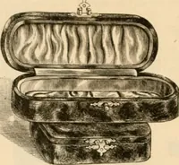 An illustration from Illustrated catalogue and shopping guide. (1886)