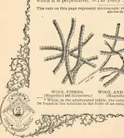 An illustration from Illustrated catalogue and price list. (1901)